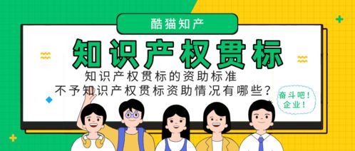 知识产权贯标的资助标准有哪些 不给予知识产权贯标资助情况有哪些